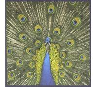 Bluetones - Expecting To Fly