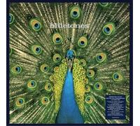 The Bluetones Expecting to Fly (Vinyl) 25th Anniversary 12" Album Box Set