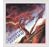 The Bob Mackenzie Group - Assume Nothing