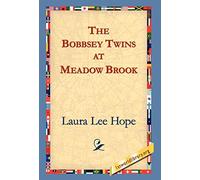 The Bobbsey Twins at Meadow Brook