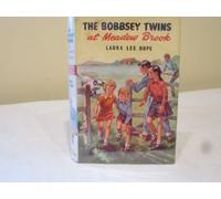 the bobbsey twins' mystery at meadow brook