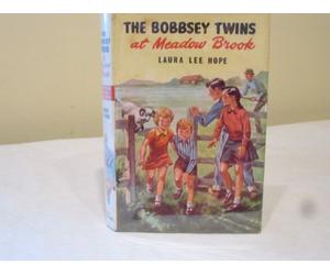 the bobbsey twins' mystery at meadow brook
