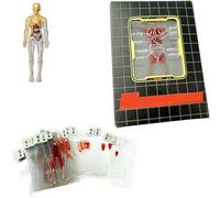 The Body Deck Playing Card,Unique Transparent 3D Image of the Human Anatomy Playing Cards,Human Body Playing Card,Transparent Human Anatomy Playing Cards