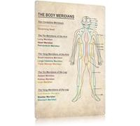 The Body Meridians Knowledge Poster Therapy Foot Reflexology Chart Trigger Point Wall Art Gift Poster Metal Tin Sign School Signs 12x8 Inches