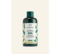The body shop shea conditioner - 250ml
