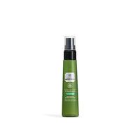 The Body Shop Drops of Youth Bouncy Face Mist 55ml