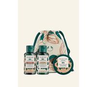 The Body Shop Shea Shampoo, Conditioner Mini 60ml, Hair Scalp Scrub 50ml Pouch Set