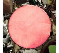 The Bohemians - Bum [Japan CD] BUMP-41