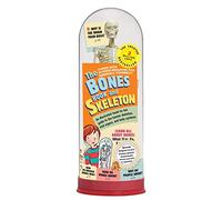The Bones Book and Skeleton