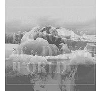 The Bones Of A Dying World [VINYL]