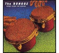The Bongos - Drums Along The Hudson