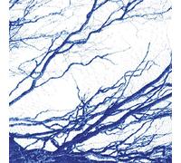 The Bony King Of Nowhere - Silent Days