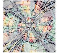THE BOO RADLEYS - KEEP ON WITH FALLING