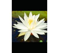 The Book of Unlearning: 100 Lies We Were Taught - And the Truths That Set Us Free