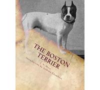 The Boston Terrier