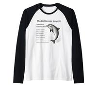 The Bottlenose Dolphin Taxonomy Classifcation Raglan Baseball Tee