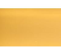 The Bouncing Box Correction Filter Strip - CTO 204, 120 cm Long