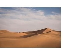 The boundless desert-8000-Piece Puzzle for Adults: Brain Challenge Puzzle 14+