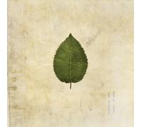 THE BOXER REBELLION - THE COLD STILL (GREEN SWIRLED VINYL) [VINYL]