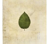 The Boxer Rebellion The Cold Still (Vinyl) (US IMPORT)