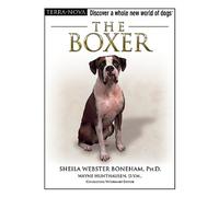 The Boxer (Terra-Nova)