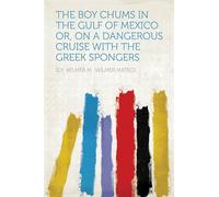 The Boy Chums In the Gulf of Mexico