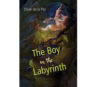 The Boy in the Labyrinth: Poems (Akron Poetry)