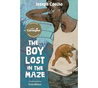 The Boy Lost in the Maze