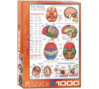 The Brain 1000 piece jigsaw puzzle by Eurographics 680mm x 490mm (pz)