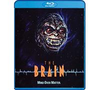 The Brain