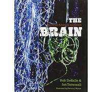 The Brain: Big Bangs, Behaviors, and Beliefs