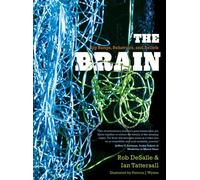 The Brain: Big Bangs, Behaviors, and Beliefs