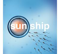 The Brian Jonestown Massacre - The Sun Ship / Playtime [10" VINYL]