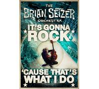 The Brian Setzer Orchestra - It's Gonna Rock... 'Cause That's What I Do [DVD] [2010] [NTSC]