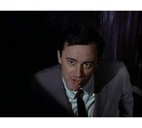 The Bridge of Lions Affair, Part 2