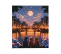 The Bridge Under The Moonlight For Bed Sofa Travel And Camping, Super Soft Cozy Fluffy Plush The Bridge Under The Moonlight Print Blanket For All Seasons 50"X60"