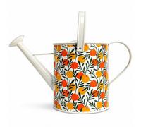 The British Gardening Company Metal Outdoor Watering Can Orangery 9 Litre With Long Reach Spout
