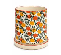 The British Gardening Company Orangery Design Ceramic Indoor Plant Pot 14cm | Size: Small The British Gardening Company Multicolor Small