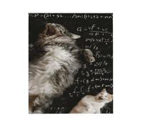 The Broken Cat For Bed Sofa Travel And Camping, Super Soft Cozy Fluffy Plush The Broken Cat Print Blanket For All Seasons 50"X60"