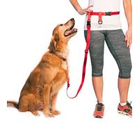 The Buddy System Made in USA Adjustable Hands Free Leash, Great for Running, Regular Dog System, Large, Red by The Buddy System