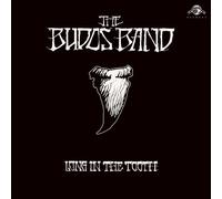 The Budos Band - Long In The Tooth