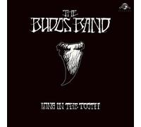 The Budos Band : Long in the Tooth CD (2020) NEW FREE Shipping, Save £s