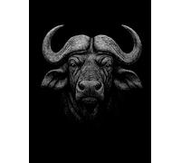 The Buffalo: A Minimalist Matt Black Display Book with Blank Pages