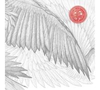 The Bug Angels & Devils (CD) Album (US IMPORT)