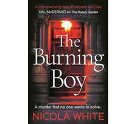 The Burning Boy: (The Vincent Swan Mysteries Main)