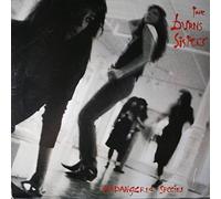 The Burns Sisters Band - Endangered Species - Columbia - FC 45100, Columbia - C 45100