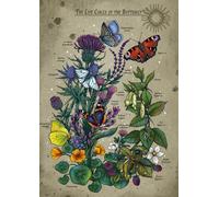 The Butterfly's Life Circle