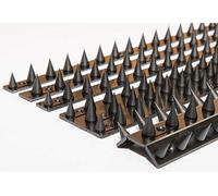the Cactus Fence Wall Spikes: Pack of 30 (13.5M to 40.5M) - BLACK