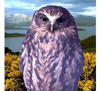 The Cakekitchen - Stories For Late At Night