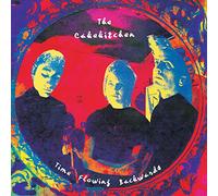 The Cakekitchen - Time Flowing Backwards [VINYL]